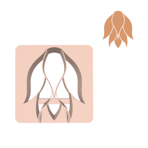 Cortador diseño | 665