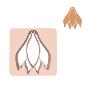 Cortador diseño | 664